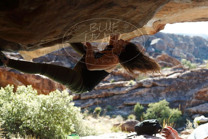 Bouldering in Hueco Tanks on 11/03/2018 with Blue Lizard Climbing and Yoga

Filename: SRM_20181103_1006350.jpg
Aperture: f/4.0
Shutter Speed: 1/800
Body: Canon EOS-1D Mark II
Lens: Canon EF 50mm f/1.8 II