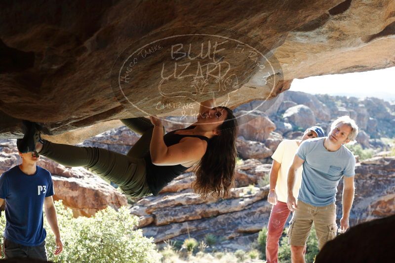 Bouldering in Hueco Tanks on 11/03/2018 with Blue Lizard Climbing and Yoga

Filename: SRM_20181103_1031010.jpg
Aperture: f/5.6
Shutter Speed: 1/500
Body: Canon EOS-1D Mark II
Lens: Canon EF 50mm f/1.8 II