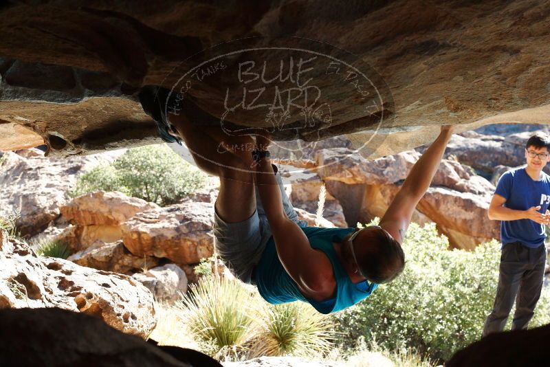 Bouldering in Hueco Tanks on 11/03/2018 with Blue Lizard Climbing and Yoga

Filename: SRM_20181103_1037062.jpg
Aperture: f/5.6
Shutter Speed: 1/500
Body: Canon EOS-1D Mark II
Lens: Canon EF 50mm f/1.8 II