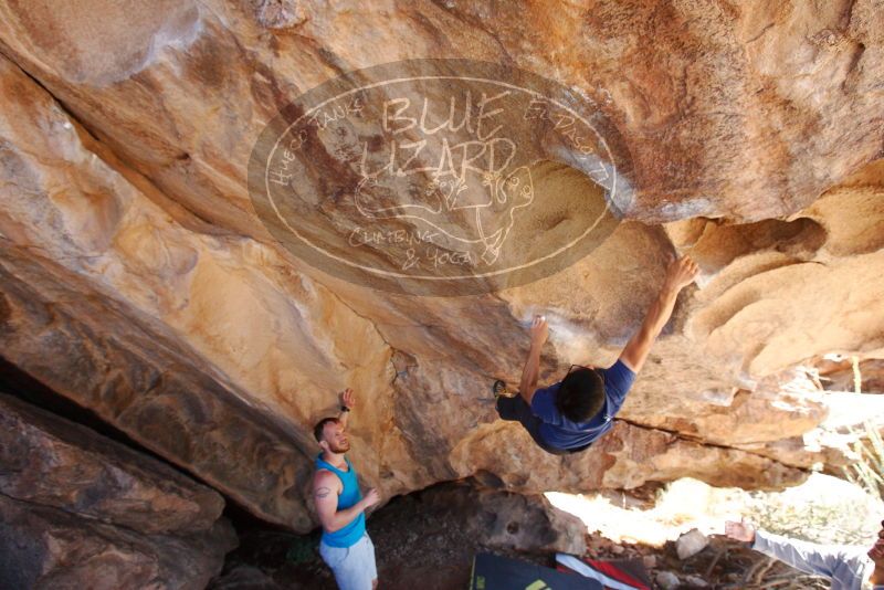 Bouldering in Hueco Tanks on 11/03/2018 with Blue Lizard Climbing and Yoga

Filename: SRM_20181103_1149170.jpg
Aperture: f/5.6
Shutter Speed: 1/320
Body: Canon EOS-1D Mark II
Lens: Canon EF 16-35mm f/2.8 L