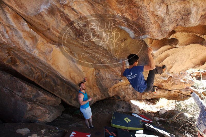 Bouldering in Hueco Tanks on 11/03/2018 with Blue Lizard Climbing and Yoga

Filename: SRM_20181103_1149192.jpg
Aperture: f/5.6
Shutter Speed: 1/400
Body: Canon EOS-1D Mark II
Lens: Canon EF 16-35mm f/2.8 L