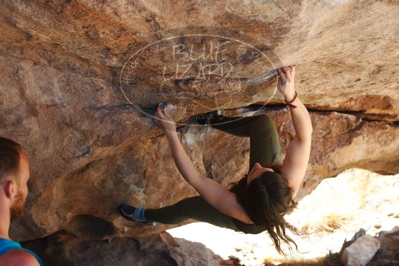 Bouldering in Hueco Tanks on 11/03/2018 with Blue Lizard Climbing and Yoga

Filename: SRM_20181103_1157480.jpg
Aperture: f/4.0
Shutter Speed: 1/400
Body: Canon EOS-1D Mark II
Lens: Canon EF 50mm f/1.8 II