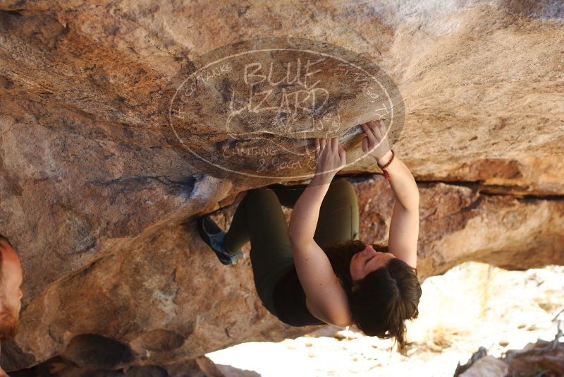 Bouldering in Hueco Tanks on 11/03/2018 with Blue Lizard Climbing and Yoga

Filename: SRM_20181103_1157520.jpg
Aperture: f/4.0
Shutter Speed: 1/400
Body: Canon EOS-1D Mark II
Lens: Canon EF 50mm f/1.8 II