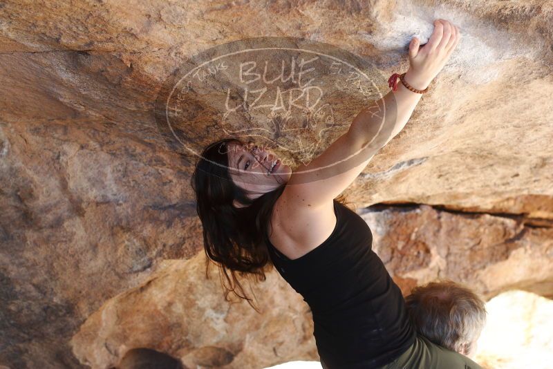 Bouldering in Hueco Tanks on 11/03/2018 with Blue Lizard Climbing and Yoga

Filename: SRM_20181103_1158520.jpg
Aperture: f/4.0
Shutter Speed: 1/320
Body: Canon EOS-1D Mark II
Lens: Canon EF 50mm f/1.8 II