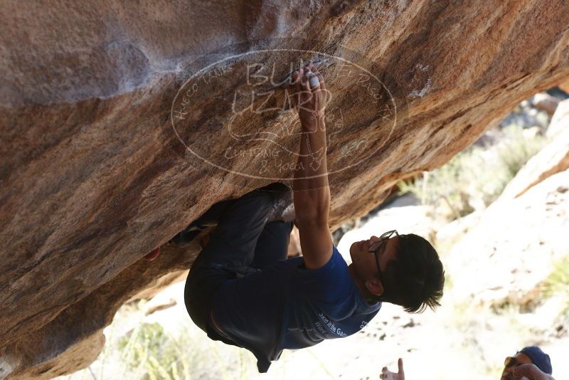 Bouldering in Hueco Tanks on 11/03/2018 with Blue Lizard Climbing and Yoga

Filename: SRM_20181103_1204011.jpg
Aperture: f/4.0
Shutter Speed: 1/800
Body: Canon EOS-1D Mark II
Lens: Canon EF 50mm f/1.8 II