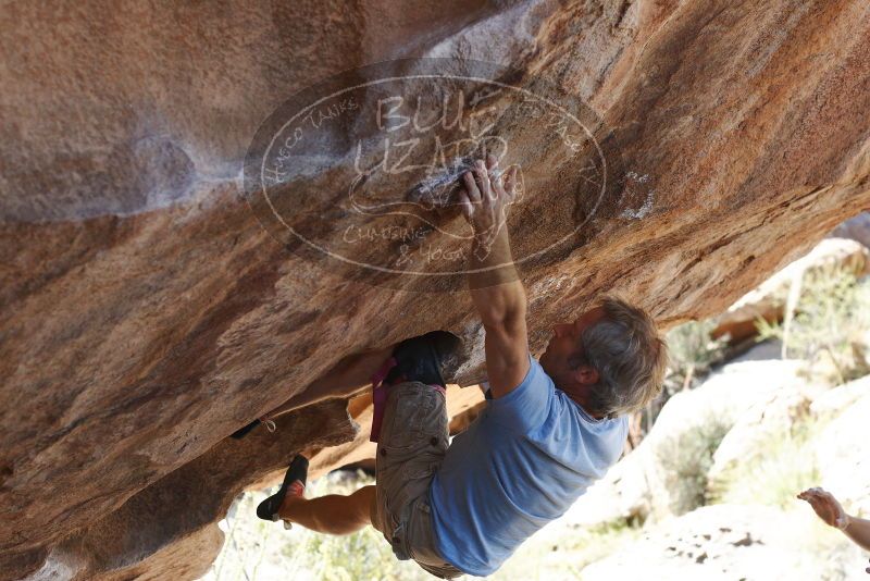 Bouldering in Hueco Tanks on 11/03/2018 with Blue Lizard Climbing and Yoga

Filename: SRM_20181103_1212511.jpg
Aperture: f/4.0
Shutter Speed: 1/640
Body: Canon EOS-1D Mark II
Lens: Canon EF 50mm f/1.8 II