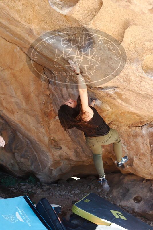 Bouldering in Hueco Tanks on 11/03/2018 with Blue Lizard Climbing and Yoga

Filename: SRM_20181103_1221051.jpg
Aperture: f/4.0
Shutter Speed: 1/400
Body: Canon EOS-1D Mark II
Lens: Canon EF 50mm f/1.8 II