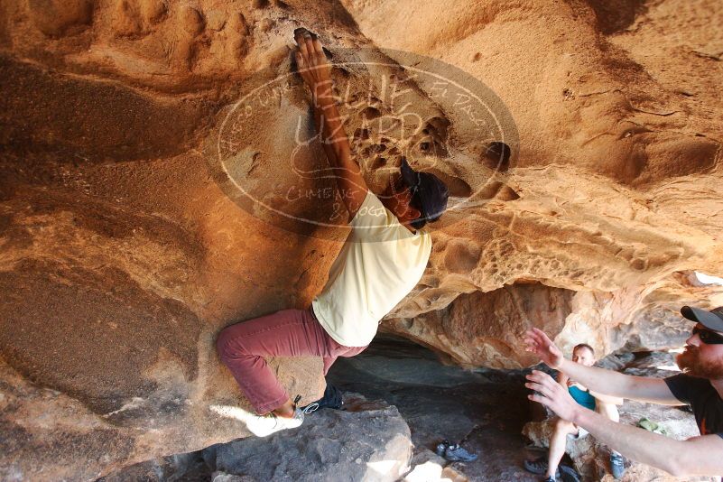 Bouldering in Hueco Tanks on 11/03/2018 with Blue Lizard Climbing and Yoga

Filename: SRM_20181103_1532352.jpg
Aperture: f/4.0
Shutter Speed: 1/320
Body: Canon EOS-1D Mark II
Lens: Canon EF 16-35mm f/2.8 L