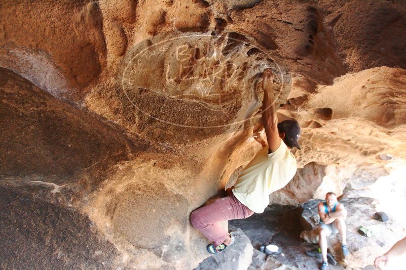 Bouldering in Hueco Tanks on 11/03/2018 with Blue Lizard Climbing and Yoga

Filename: SRM_20181103_1544270.jpg
Aperture: f/4.0
Shutter Speed: 1/400
Body: Canon EOS-1D Mark II
Lens: Canon EF 16-35mm f/2.8 L