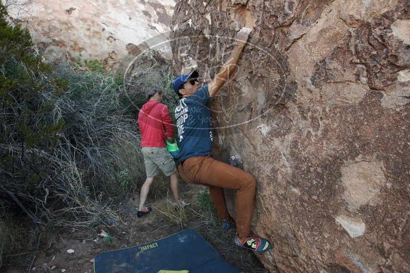 Bouldering in Hueco Tanks on 11/04/2018 with Blue Lizard Climbing and Yoga

Filename: SRM_20181104_1006580.jpg
Aperture: f/5.0
Shutter Speed: 1/250
Body: Canon EOS-1D Mark II
Lens: Canon EF 16-35mm f/2.8 L