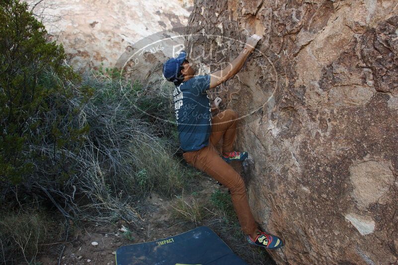 Bouldering in Hueco Tanks on 11/04/2018 with Blue Lizard Climbing and Yoga

Filename: SRM_20181104_1006590.jpg
Aperture: f/5.0
Shutter Speed: 1/250
Body: Canon EOS-1D Mark II
Lens: Canon EF 16-35mm f/2.8 L