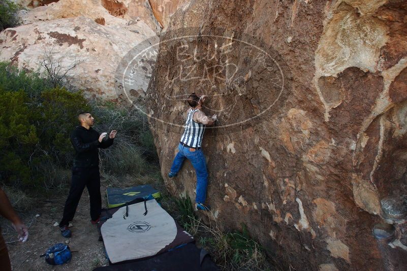 Bouldering in Hueco Tanks on 11/04/2018 with Blue Lizard Climbing and Yoga

Filename: SRM_20181104_1010300.jpg
Aperture: f/5.6
Shutter Speed: 1/250
Body: Canon EOS-1D Mark II
Lens: Canon EF 16-35mm f/2.8 L