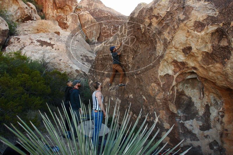 Bouldering in Hueco Tanks on 11/04/2018 with Blue Lizard Climbing and Yoga

Filename: SRM_20181104_1014080.jpg
Aperture: f/5.6
Shutter Speed: 1/320
Body: Canon EOS-1D Mark II
Lens: Canon EF 16-35mm f/2.8 L