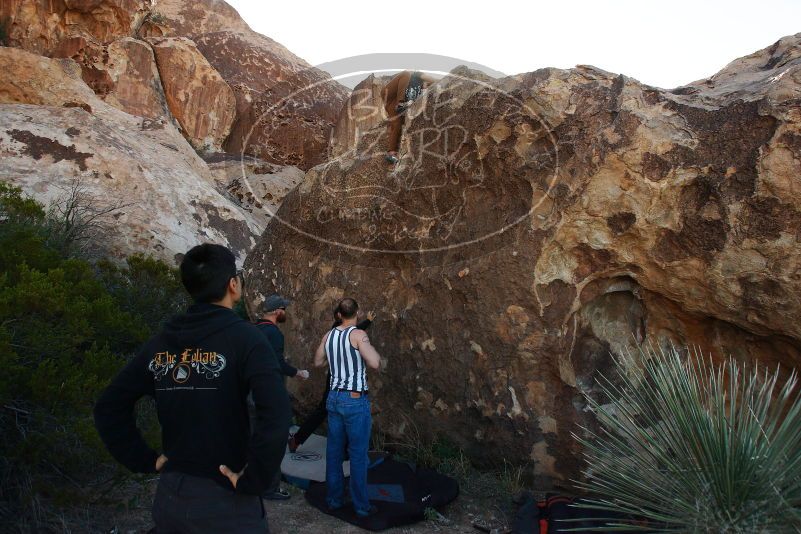 Bouldering in Hueco Tanks on 11/04/2018 with Blue Lizard Climbing and Yoga

Filename: SRM_20181104_1014440.jpg
Aperture: f/5.6
Shutter Speed: 1/500
Body: Canon EOS-1D Mark II
Lens: Canon EF 16-35mm f/2.8 L