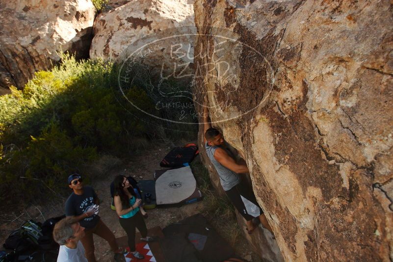 Bouldering in Hueco Tanks on 11/04/2018 with Blue Lizard Climbing and Yoga

Filename: SRM_20181104_1041451.jpg
Aperture: f/5.6
Shutter Speed: 1/500
Body: Canon EOS-1D Mark II
Lens: Canon EF 16-35mm f/2.8 L