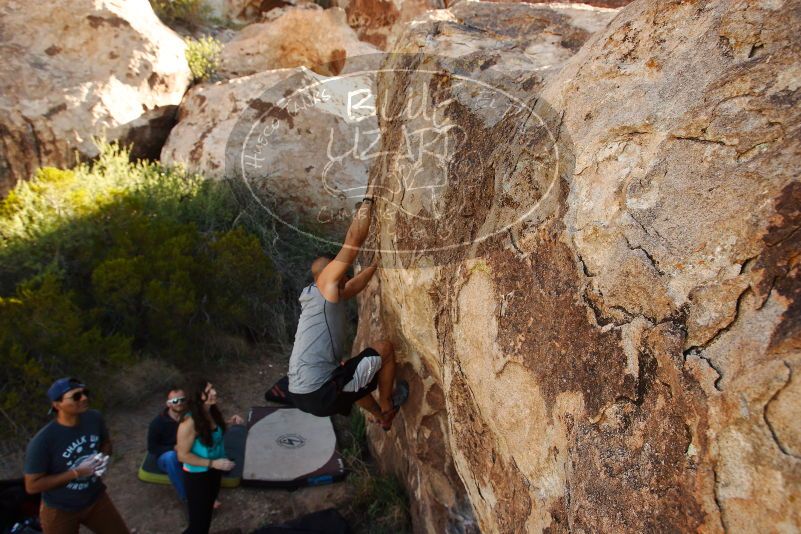 Bouldering in Hueco Tanks on 11/04/2018 with Blue Lizard Climbing and Yoga

Filename: SRM_20181104_1041540.jpg
Aperture: f/5.6
Shutter Speed: 1/400
Body: Canon EOS-1D Mark II
Lens: Canon EF 16-35mm f/2.8 L