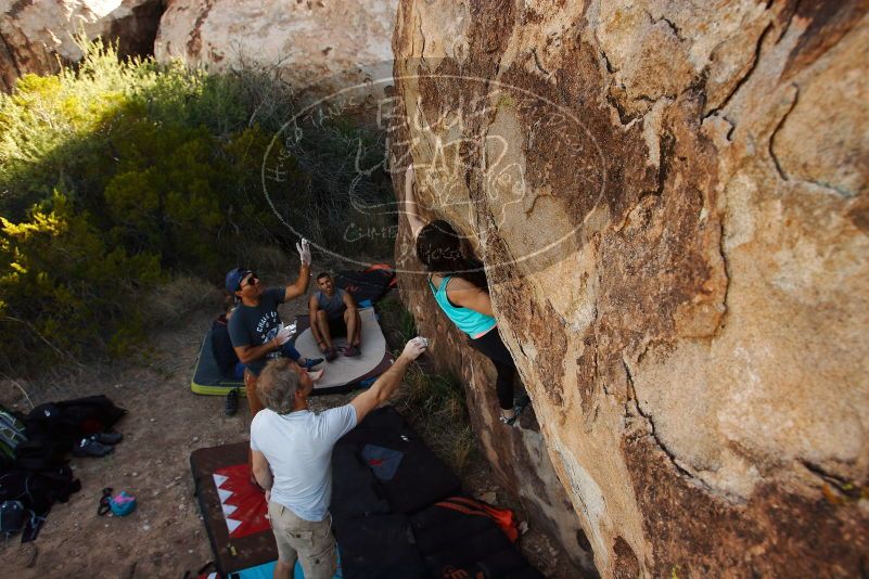 Bouldering in Hueco Tanks on 11/04/2018 with Blue Lizard Climbing and Yoga

Filename: SRM_20181104_1043341.jpg
Aperture: f/5.6
Shutter Speed: 1/400
Body: Canon EOS-1D Mark II
Lens: Canon EF 16-35mm f/2.8 L