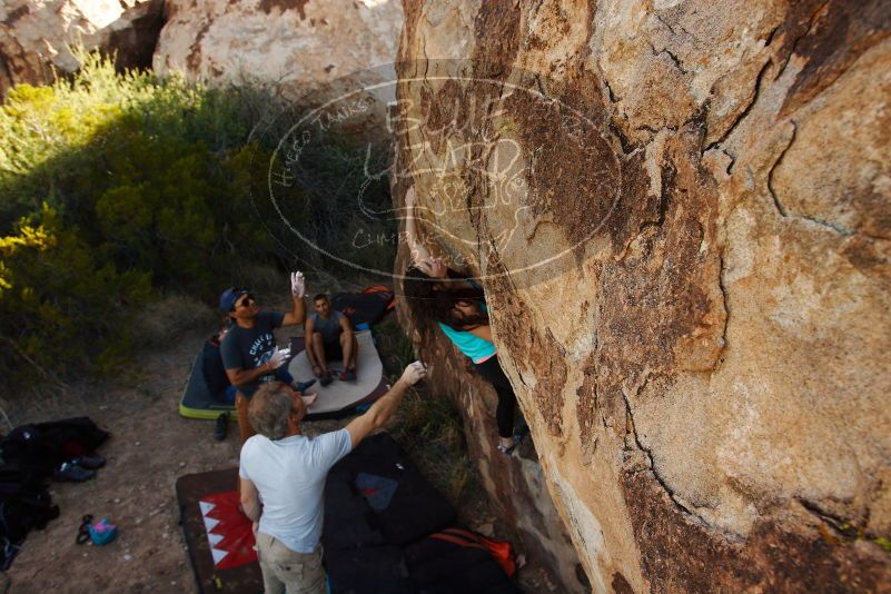 Bouldering in Hueco Tanks on 11/04/2018 with Blue Lizard Climbing and Yoga

Filename: SRM_20181104_1043351.jpg
Aperture: f/5.6
Shutter Speed: 1/400
Body: Canon EOS-1D Mark II
Lens: Canon EF 16-35mm f/2.8 L