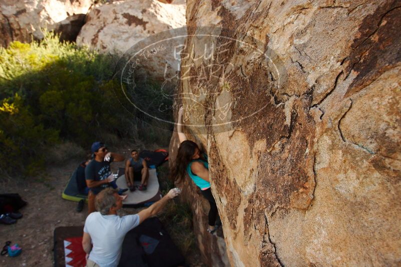 Bouldering in Hueco Tanks on 11/04/2018 with Blue Lizard Climbing and Yoga

Filename: SRM_20181104_1043361.jpg
Aperture: f/5.6
Shutter Speed: 1/400
Body: Canon EOS-1D Mark II
Lens: Canon EF 16-35mm f/2.8 L