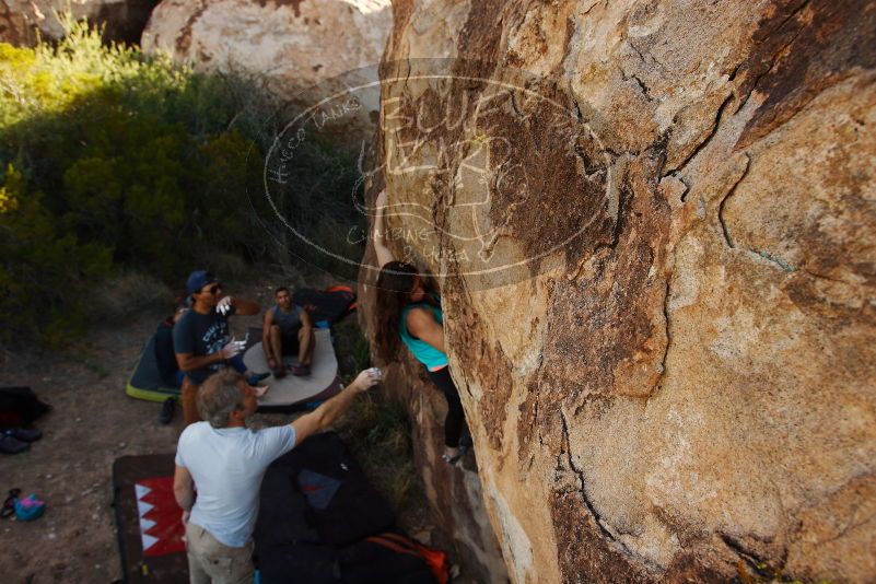 Bouldering in Hueco Tanks on 11/04/2018 with Blue Lizard Climbing and Yoga

Filename: SRM_20181104_1043370.jpg
Aperture: f/5.6
Shutter Speed: 1/500
Body: Canon EOS-1D Mark II
Lens: Canon EF 16-35mm f/2.8 L