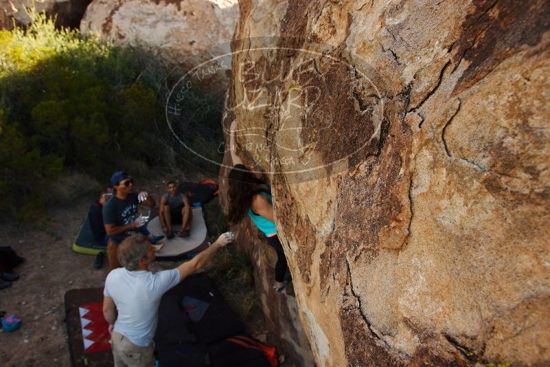 Bouldering in Hueco Tanks on 11/04/2018 with Blue Lizard Climbing and Yoga

Filename: SRM_20181104_1043371.jpg
Aperture: f/5.6
Shutter Speed: 1/500
Body: Canon EOS-1D Mark II
Lens: Canon EF 16-35mm f/2.8 L