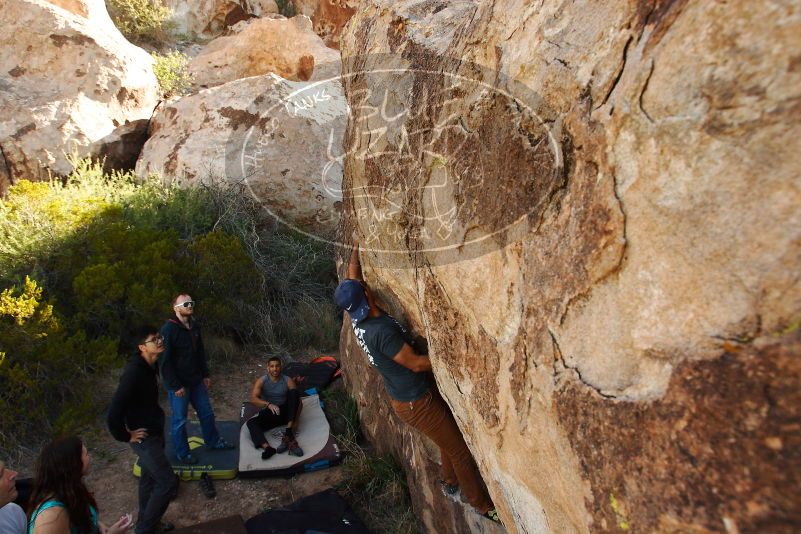 Bouldering in Hueco Tanks on 11/04/2018 with Blue Lizard Climbing and Yoga

Filename: SRM_20181104_1045101.jpg
Aperture: f/5.6
Shutter Speed: 1/320
Body: Canon EOS-1D Mark II
Lens: Canon EF 16-35mm f/2.8 L