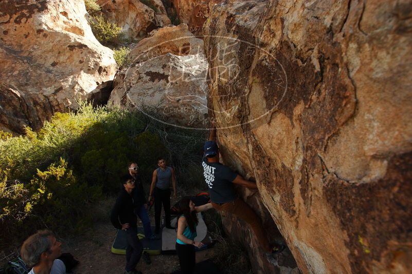 Bouldering in Hueco Tanks on 11/04/2018 with Blue Lizard Climbing and Yoga

Filename: SRM_20181104_1045210.jpg
Aperture: f/5.6
Shutter Speed: 1/800
Body: Canon EOS-1D Mark II
Lens: Canon EF 16-35mm f/2.8 L