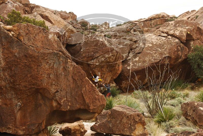 Bouldering in Hueco Tanks on 11/10/2018 with Blue Lizard Climbing and Yoga

Filename: SRM_20181110_1131220.jpg
Aperture: f/5.6
Shutter Speed: 1/500
Body: Canon EOS-1D Mark II
Lens: Canon EF 16-35mm f/2.8 L