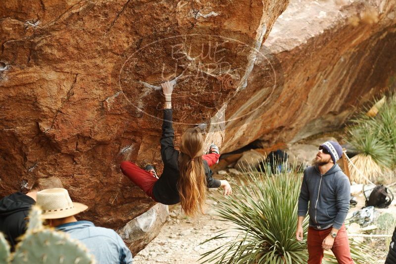 Bouldering in Hueco Tanks on 11/10/2018 with Blue Lizard Climbing and Yoga

Filename: SRM_20181110_1151320.jpg
Aperture: f/3.5
Shutter Speed: 1/400
Body: Canon EOS-1D Mark II
Lens: Canon EF 50mm f/1.8 II