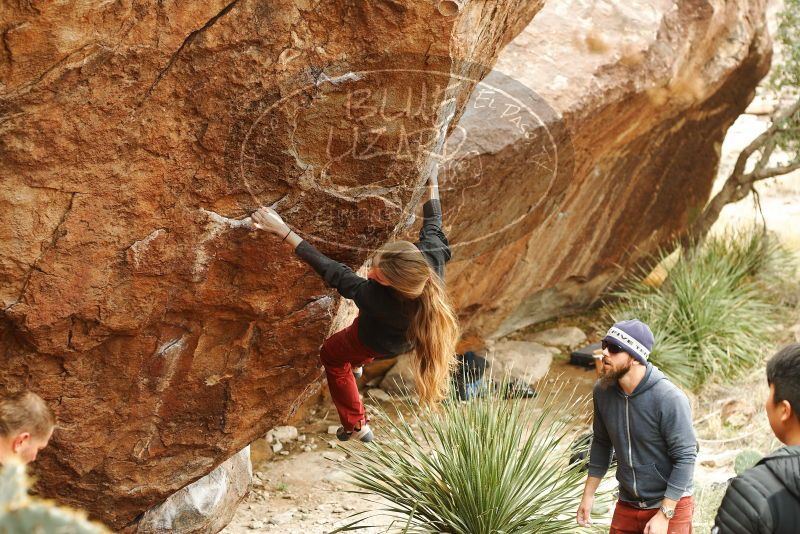 Bouldering in Hueco Tanks on 11/10/2018 with Blue Lizard Climbing and Yoga

Filename: SRM_20181110_1151400.jpg
Aperture: f/3.5
Shutter Speed: 1/320
Body: Canon EOS-1D Mark II
Lens: Canon EF 50mm f/1.8 II