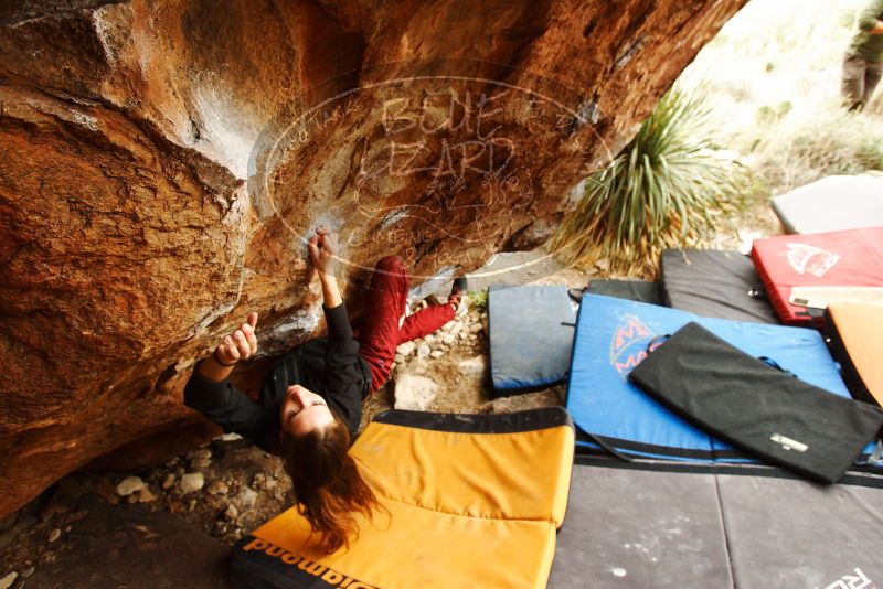 Bouldering in Hueco Tanks on 11/10/2018 with Blue Lizard Climbing and Yoga

Filename: SRM_20181110_1218130.jpg
Aperture: f/4.0
Shutter Speed: 1/320
Body: Canon EOS-1D Mark II
Lens: Canon EF 16-35mm f/2.8 L