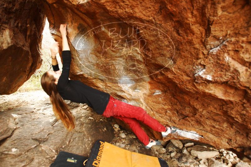 Bouldering in Hueco Tanks on 11/10/2018 with Blue Lizard Climbing and Yoga

Filename: SRM_20181110_1220440.jpg
Aperture: f/4.0
Shutter Speed: 1/200
Body: Canon EOS-1D Mark II
Lens: Canon EF 16-35mm f/2.8 L