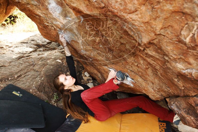 Bouldering in Hueco Tanks on 11/10/2018 with Blue Lizard Climbing and Yoga

Filename: SRM_20181110_1229130.jpg
Aperture: f/4.0
Shutter Speed: 1/320
Body: Canon EOS-1D Mark II
Lens: Canon EF 16-35mm f/2.8 L