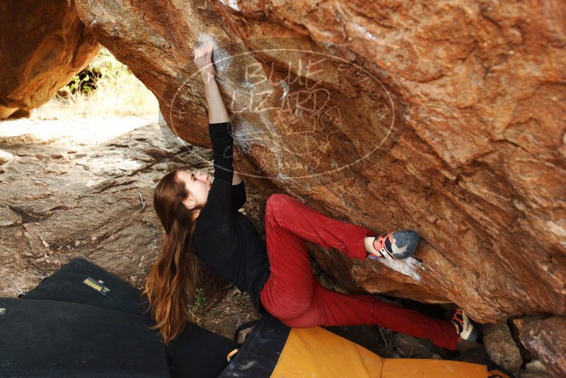 Bouldering in Hueco Tanks on 11/10/2018 with Blue Lizard Climbing and Yoga

Filename: SRM_20181110_1229150.jpg
Aperture: f/4.0
Shutter Speed: 1/400
Body: Canon EOS-1D Mark II
Lens: Canon EF 16-35mm f/2.8 L