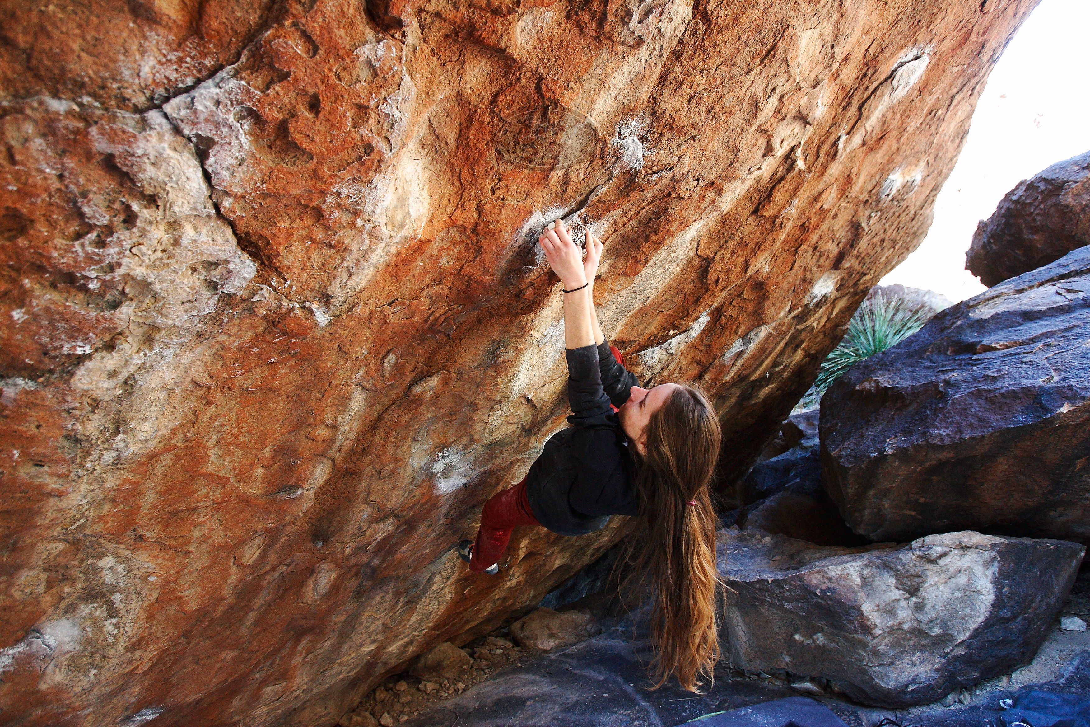 Bouldering in Hueco Tanks on 11/10/2018 with Blue Lizard Climbing and Yoga

Filename: SRM_20181110_1327590.jpg
Aperture: f/4.0
Shutter Speed: 1/250
Body: Canon EOS-1D Mark II
Lens: Canon EF 16-35mm f/2.8 L