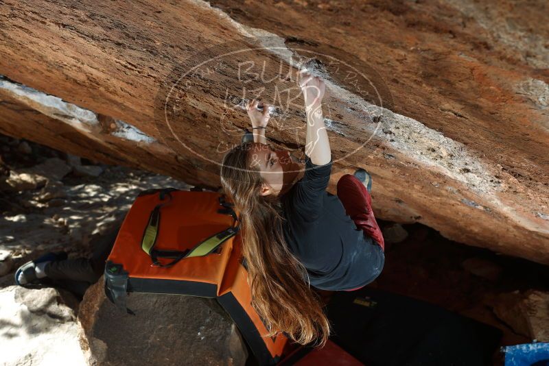 Bouldering in Hueco Tanks on 11/10/2018 with Blue Lizard Climbing and Yoga

Filename: SRM_20181110_1429290.jpg
Aperture: f/5.0
Shutter Speed: 1/200
Body: Canon EOS-1D Mark II
Lens: Canon EF 50mm f/1.8 II