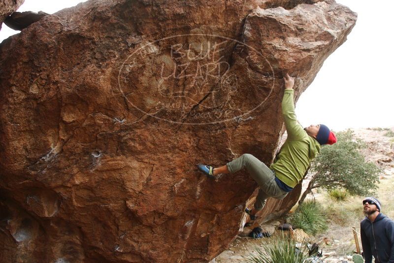 Bouldering in Hueco Tanks on 11/10/2018 with Blue Lizard Climbing and Yoga

Filename: SRM_20181110_1144440.jpg
Aperture: f/5.6
Shutter Speed: 1/200
Body: Canon EOS-1D Mark II
Lens: Canon EF 16-35mm f/2.8 L