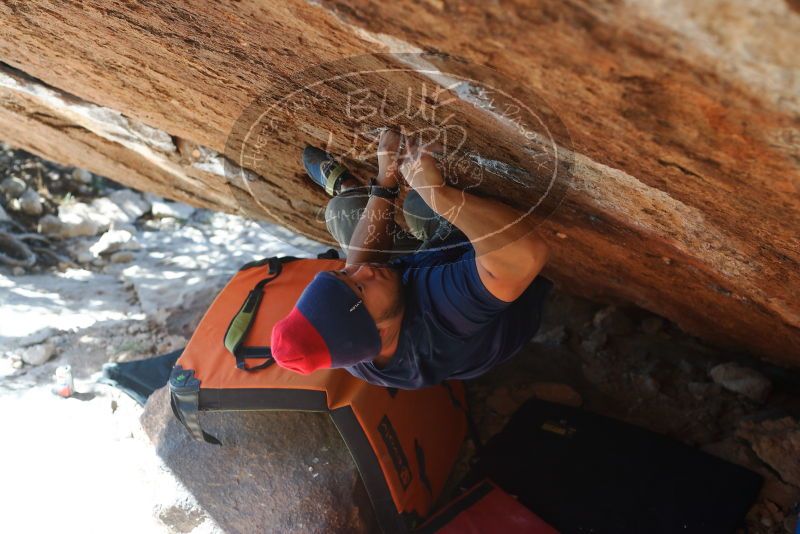 Bouldering in Hueco Tanks on 11/10/2018 with Blue Lizard Climbing and Yoga

Filename: SRM_20181110_1410260.jpg
Aperture: f/3.5
Shutter Speed: 1/320
Body: Canon EOS-1D Mark II
Lens: Canon EF 50mm f/1.8 II