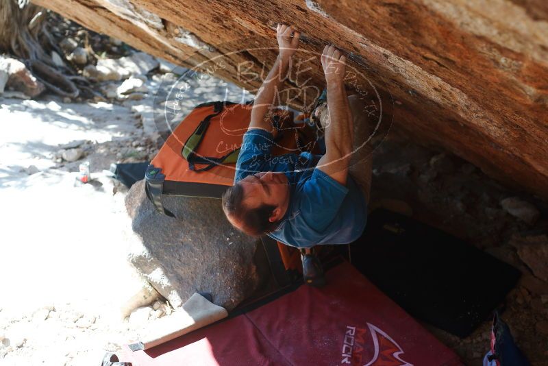 Bouldering in Hueco Tanks on 11/10/2018 with Blue Lizard Climbing and Yoga

Filename: SRM_20181110_1414530.jpg
Aperture: f/3.5
Shutter Speed: 1/400
Body: Canon EOS-1D Mark II
Lens: Canon EF 50mm f/1.8 II