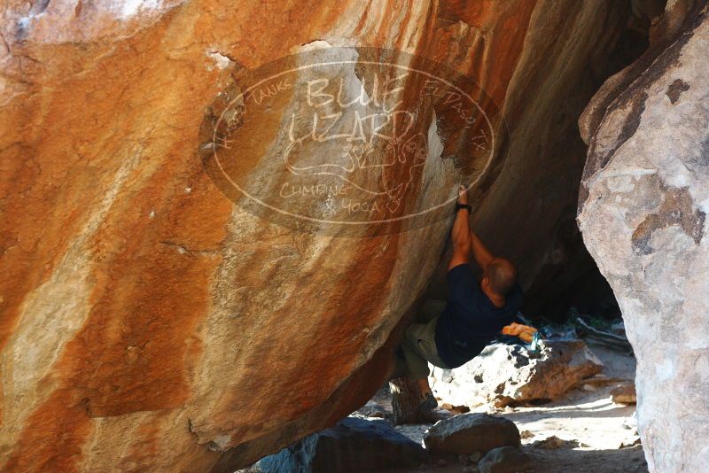 Bouldering in Hueco Tanks on 11/10/2018 with Blue Lizard Climbing and Yoga

Filename: SRM_20181110_1644150.jpg
Aperture: f/3.5
Shutter Speed: 1/320
Body: Canon EOS-1D Mark II
Lens: Canon EF 50mm f/1.8 II