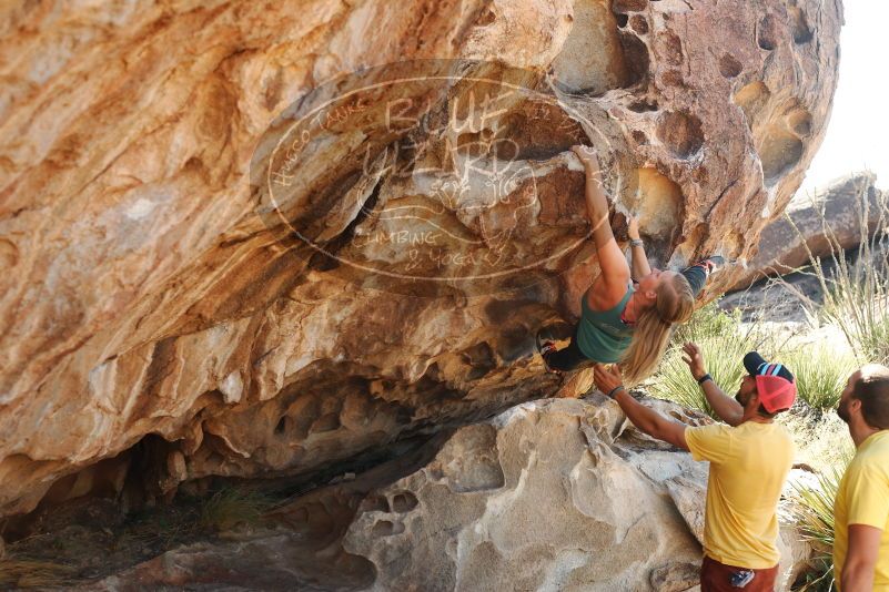 Bouldering in Hueco Tanks on 11/11/2018 with Blue Lizard Climbing and Yoga

Filename: SRM_20181111_1151430.jpg
Aperture: f/4.0
Shutter Speed: 1/320
Body: Canon EOS-1D Mark II
Lens: Canon EF 50mm f/1.8 II