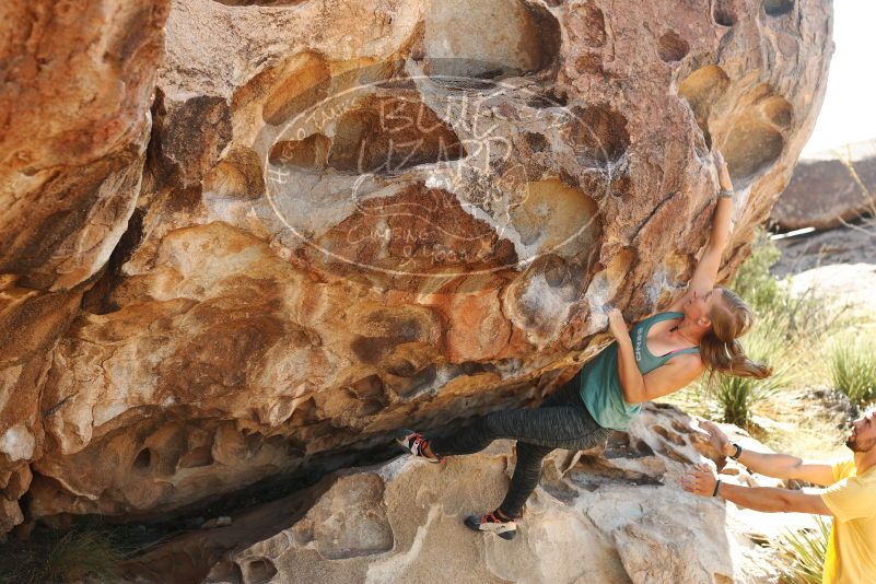 Bouldering in Hueco Tanks on 11/11/2018 with Blue Lizard Climbing and Yoga

Filename: SRM_20181111_1157370.jpg
Aperture: f/4.0
Shutter Speed: 1/400
Body: Canon EOS-1D Mark II
Lens: Canon EF 50mm f/1.8 II