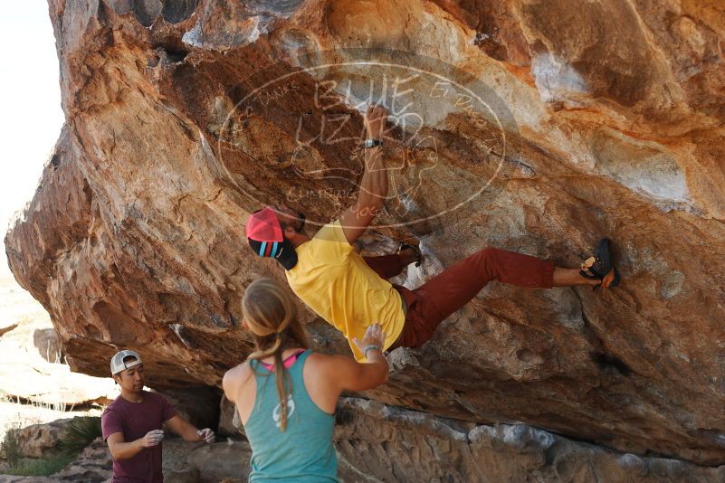 Bouldering in Hueco Tanks on 11/11/2018 with Blue Lizard Climbing and Yoga

Filename: SRM_20181111_1210100.jpg
Aperture: f/4.0
Shutter Speed: 1/640
Body: Canon EOS-1D Mark II
Lens: Canon EF 50mm f/1.8 II