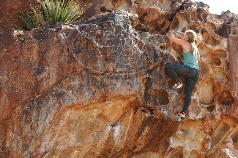 Bouldering in Hueco Tanks on 11/11/2018 with Blue Lizard Climbing and Yoga

Filename: SRM_20181111_1215280.jpg
Aperture: f/4.0
Shutter Speed: 1/640
Body: Canon EOS-1D Mark II
Lens: Canon EF 50mm f/1.8 II