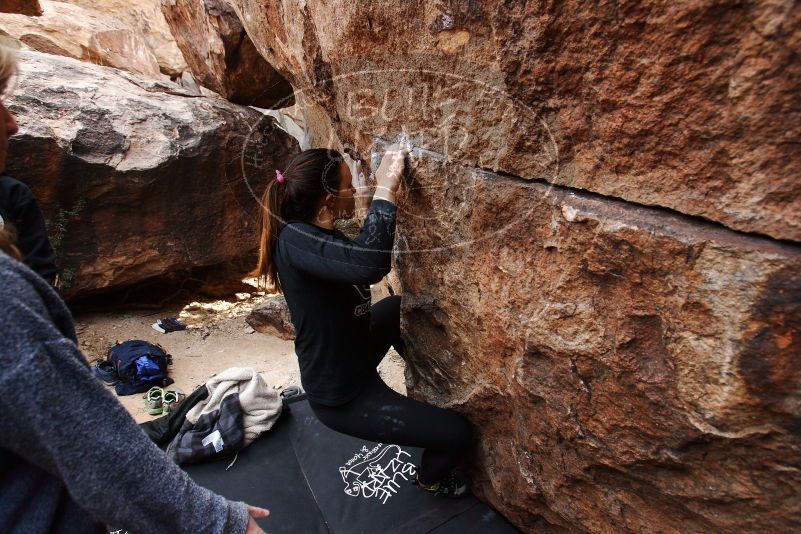 Bouldering in Hueco Tanks on 11/24/2018 with Blue Lizard Climbing and Yoga

Filename: SRM_20181124_1110170.jpg
Aperture: f/4.5
Shutter Speed: 1/250
Body: Canon EOS-1D Mark II
Lens: Canon EF 16-35mm f/2.8 L