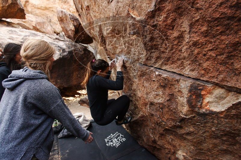 Bouldering in Hueco Tanks on 11/24/2018 with Blue Lizard Climbing and Yoga

Filename: SRM_20181124_1110190.jpg
Aperture: f/4.5
Shutter Speed: 1/250
Body: Canon EOS-1D Mark II
Lens: Canon EF 16-35mm f/2.8 L