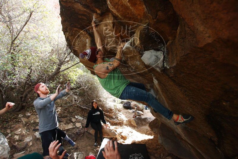 Bouldering in Hueco Tanks on 11/24/2018 with Blue Lizard Climbing and Yoga

Filename: SRM_20181124_1152480.jpg
Aperture: f/4.0
Shutter Speed: 1/500
Body: Canon EOS-1D Mark II
Lens: Canon EF 16-35mm f/2.8 L