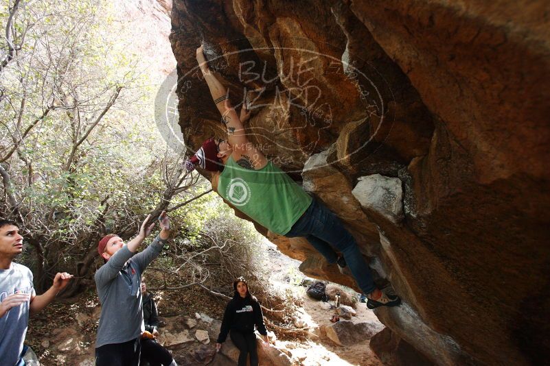 Bouldering in Hueco Tanks on 11/24/2018 with Blue Lizard Climbing and Yoga

Filename: SRM_20181124_1152580.jpg
Aperture: f/4.0
Shutter Speed: 1/500
Body: Canon EOS-1D Mark II
Lens: Canon EF 16-35mm f/2.8 L