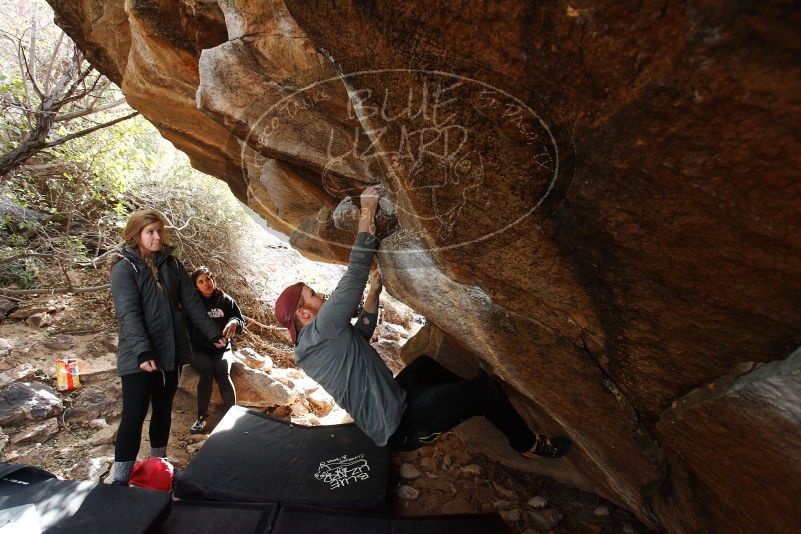 Bouldering in Hueco Tanks on 11/24/2018 with Blue Lizard Climbing and Yoga

Filename: SRM_20181124_1155090.jpg
Aperture: f/4.5
Shutter Speed: 1/250
Body: Canon EOS-1D Mark II
Lens: Canon EF 16-35mm f/2.8 L