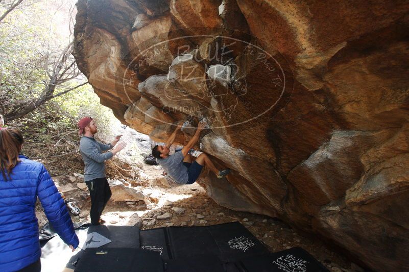 Bouldering in Hueco Tanks on 11/24/2018 with Blue Lizard Climbing and Yoga

Filename: SRM_20181124_1203160.jpg
Aperture: f/4.5
Shutter Speed: 1/250
Body: Canon EOS-1D Mark II
Lens: Canon EF 16-35mm f/2.8 L